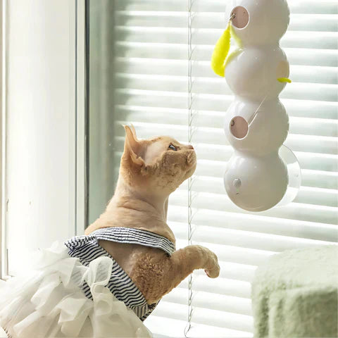 PurrWhirl - Jouet interactif pour chat avec mouvement hélicoïdal